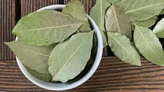 Varför lägger man lagerblad i krukor med inomhusväxter?