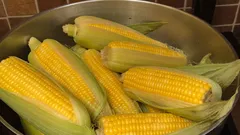 Hur och hur länge man ska koka majs, vad man ska tillsätta i vattnet för att göra den mjuk
