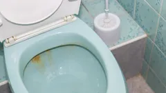 Så rengör du toaletten från gula avlagringar: ineffektiva och effektiva metoder