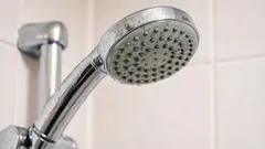 Varken blekmedel eller rengöringsmedel: så rengör du duschmunstycket på fem minuter, enligt en hantverkare